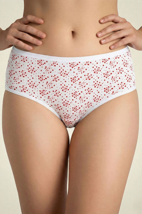 Zivame Medium Rise Full Coverage Hipster Panty (Pack of 3) - Multicolor — image 6